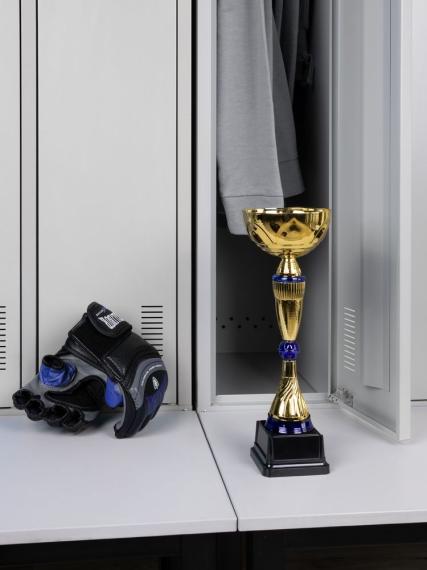 Кубок Awardee, средний, синий