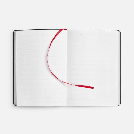 Ежедневник Nebraska Flex, недатированный, красный с серебристым