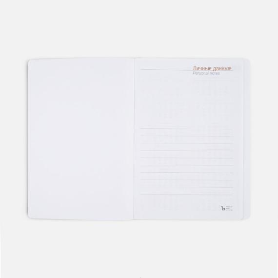 Ежедневник Flex Shall, датированный, серый