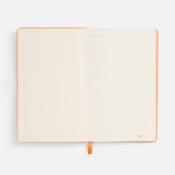 Ежедневник Shall Light, недатированный, оранжевый